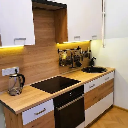 Lägenhet Modern Flat By Lukiskiu Square Vilnius