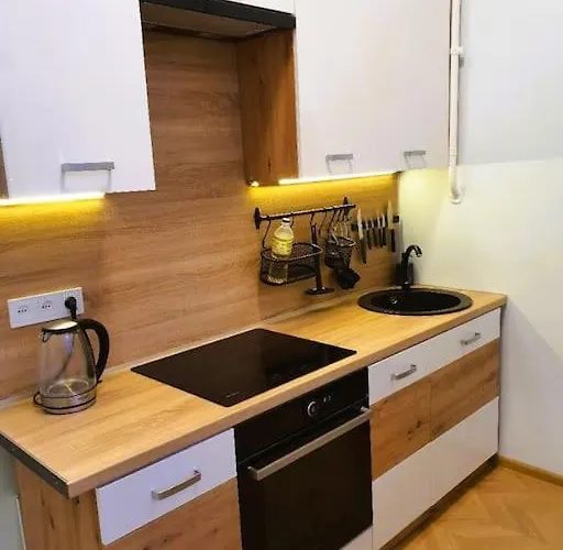 Butas Modern Flat By Lukiskiu Square Vilnius