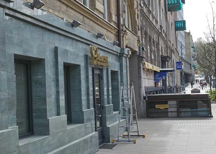 Διαμέρισμα Modern Flat By Lukiskiu Square Βίλνιους